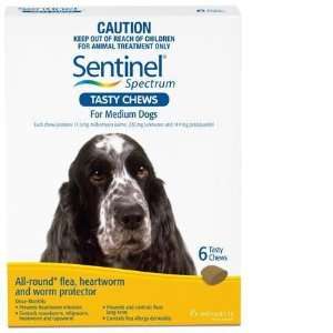  Sentinel Spec. Medium Dogs Chew 6pk Y