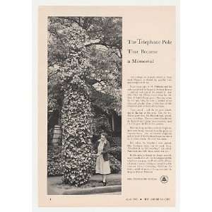  1955 Bell Telephone Ivy Pole Danny Feldman Memorial Print 