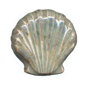Knob   357 73, Shells, Shell, Seashells, Sea Shells, Fan, Fan Shells