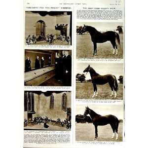   1951 ARAB HORSE SHOW PARLIAMENT CLIFTON BROWN CHARLES
