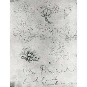     Thomas Cole   24 x 32 inches   Sketch of Flowers