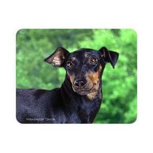  Manchester Terrier Coasters