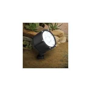   Light Outdoor Flood Light in Textured Black with Clear Tempered glass
