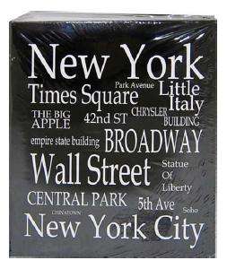 NEW YORK CITY Fotoalbum,Wall Street,Times Square,Neu  