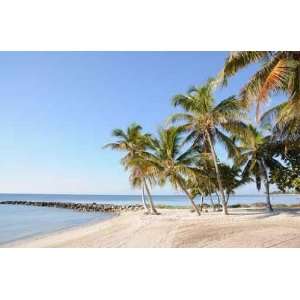 Key West Beach in Florida Keys, Usa   Peel and Stick Wall Decal by 