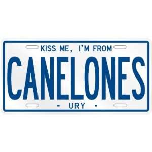   AM FROM CANELONES  URUGUAY LICENSE PLATE SIGN CITY