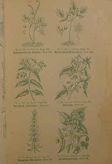 MEDICAL RECIPES Apothecary HERBAL MEDICINE Botanical Flora Tools 