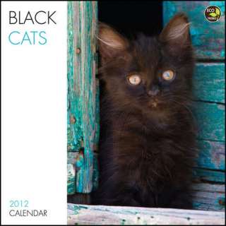 Black Cats 2012 Wall Calendar  