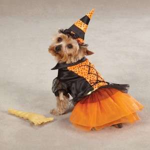   Spellhound Witch Halloween Dog Costume w/Hat and FREE Broom Toy  