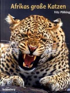Afrikas grosse Katzen Gepard, Löwe, Leopard