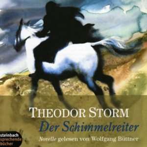 Der Schimmelreiter (Hörbuch )  Theodor Storm 