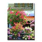 Brighten Up Your Life with Bougainvillea by Eric Simon