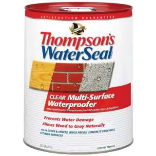Thompsons WaterSeal 5 Gallon Clear Multi Surface Waterproofer 24105 