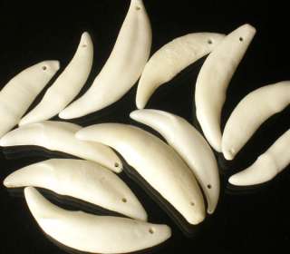 12 Charming Tibet Natural White Wolf tooth Tusk Pendant  