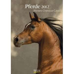   Pferdekalender, Horses, Chevaux, Cavalli 2012  Bücher