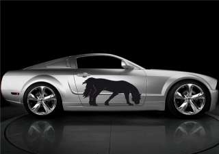 CAR VINYL GRAPHICS HORSE MUSTANG FORD GT SHELBY 23  