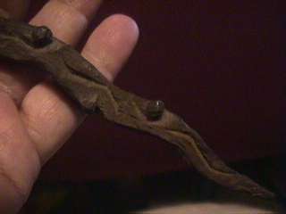 sacrificial ritual dagger antique aboriginal haunted  