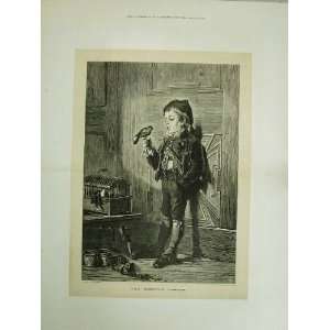  1873 Little Boy Singing Bird Cage Fine Art Schloesser 