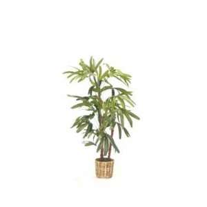  Lady Finger Artificial Silk Palm Tree Plant 3.5