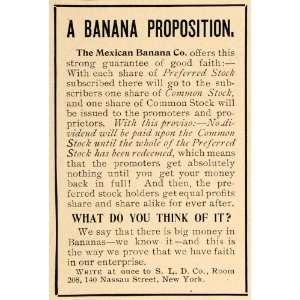  1907 Ad Mexican Banana Company Proposition Common Stock 