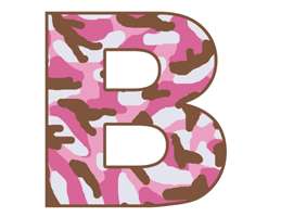 PINK BROWN CAMO BABY NURSERY WALL BORDER STICKERS DECAL  
