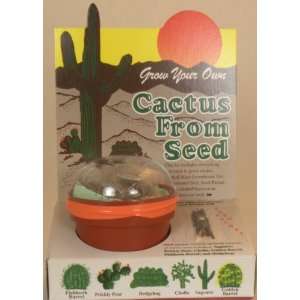  Cactus From Seeds   Cacti Seed   Assortment of Different Cactus Seeds