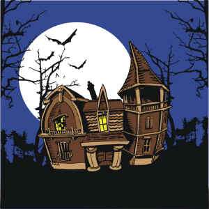   HOUSE 4 SILKS SET + DVD Kids Stage Magic Trick Halloween Hankies Ghost