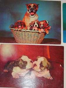 Lot 9 Vintage Giant Jumbo Post Cards Cats Dogs Deer Hen  