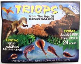 TRIOPS Eggs Sea Triassic Dinosaur LIVING FOSSIL kit aquarium pet Triop 