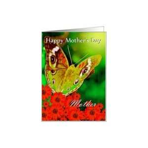  Happy Mothers Day ~ Aunt ~ Butterfly & Red Daisies Card 