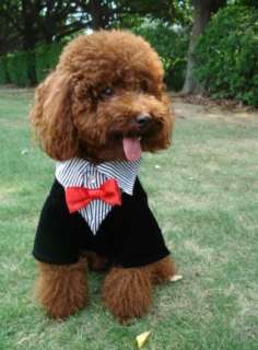 Pet/Dog Apparel Shirt Tuxedo Suit Costume Wedding Cloth  