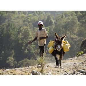 Donkey Carrying Water, Santo Antao, Cape Verde Islands 