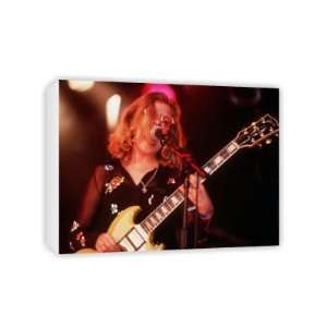 Tanya Donelly   Canvas   Medium   30x45cm 