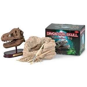  Triceratops Dinosaur Skull Dig Kit Toys & Games