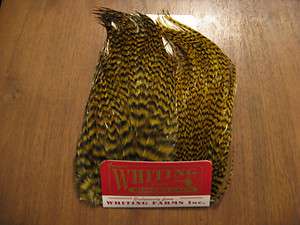 Fly Tying Whiting Farms Bugger Pack Grizzly dyed Golden Olive  