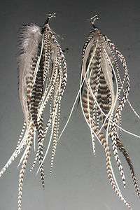 Whiting Feather Hair Extension Earrings BOHO Earrings Trendy Earrings 