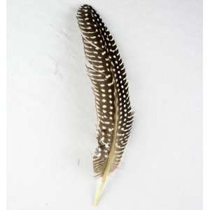   Hen Wing Feathers 4 7Black White Fly/Fishing/Craft 