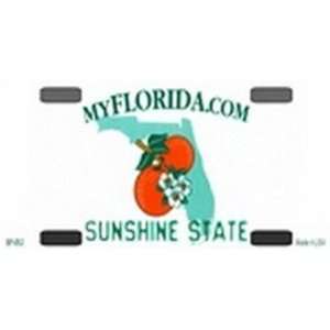 BP 052 Florida State Background Blanks FLAT   Bicycle License Plates 
