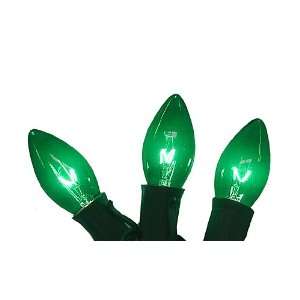   Turquoise C9 Christmas Lights Green Wire 25 Patio, Lawn & Garden