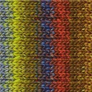  Noro Iro [Red, Blue, Gold ] Arts, Crafts & Sewing