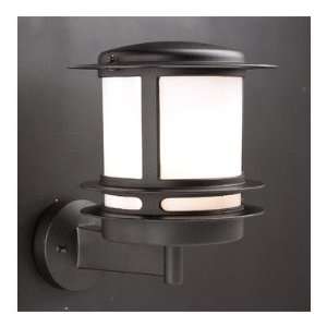 Tusk Outdoor 11.5 x 9.25 Wall Sconce Finish Architectural Bronze