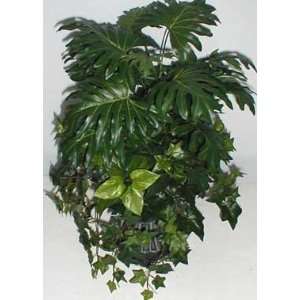  23 Split Philodendron & Ivy in Urn