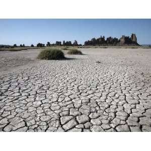  Desolate Landscape of Lac Abbe, Dotted with Limestone 