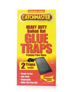   Duty Rat Trap Hercules Putty (12 pack / 24 traps) 029049004046  