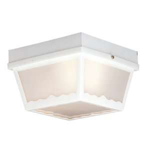  By Thomas Lighting Plastic Outdoor Black Outdoor Ceiling Light 