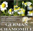 GERMAN CHAMOMILE FLOWER HERB SEEDS ~ CAMOMILE TEA APPLE