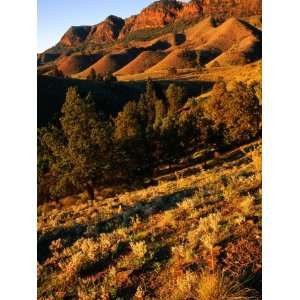  Section of Aroona Valley, Flinders Ranges National Park 