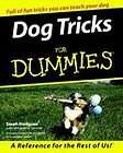 Dog Tricks For Dummies by Sarah Hodgson (2000, Paper