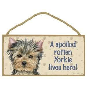  Yorkshire Terrier (Short Hair)  A spoiled your favoriate 