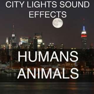   Background Sound Effects Sound Effect Sounds EFX SFX FX Animals Birds
